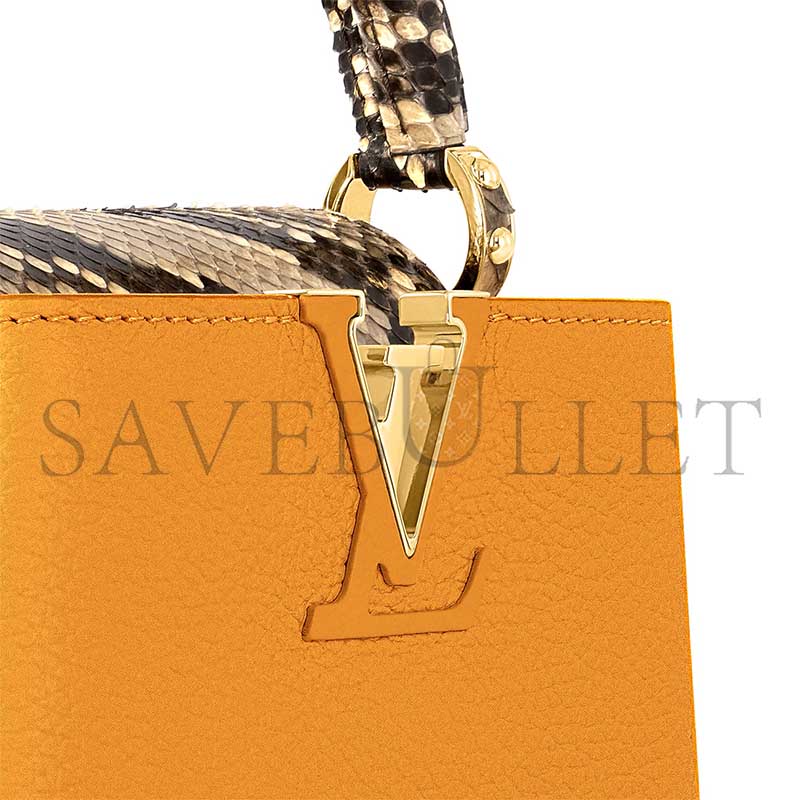 LOUIS VUITTON CAPUCINES MINI N81410 (21*14*6cm) 